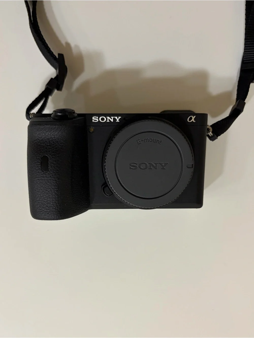 Sony Camera A6600 vlogging